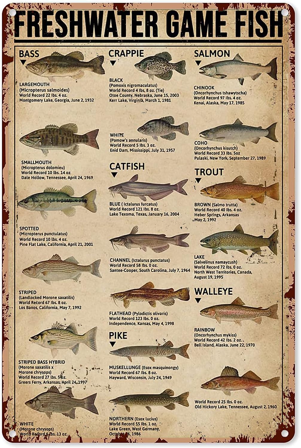 Home Decor Game - Y1,Fishing Art Posters Metal Sign Freshwater