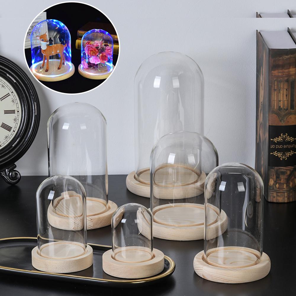 Terrarium Glass Bottle - Terrarium Tabletop Fairy Lights Jar Transparent
