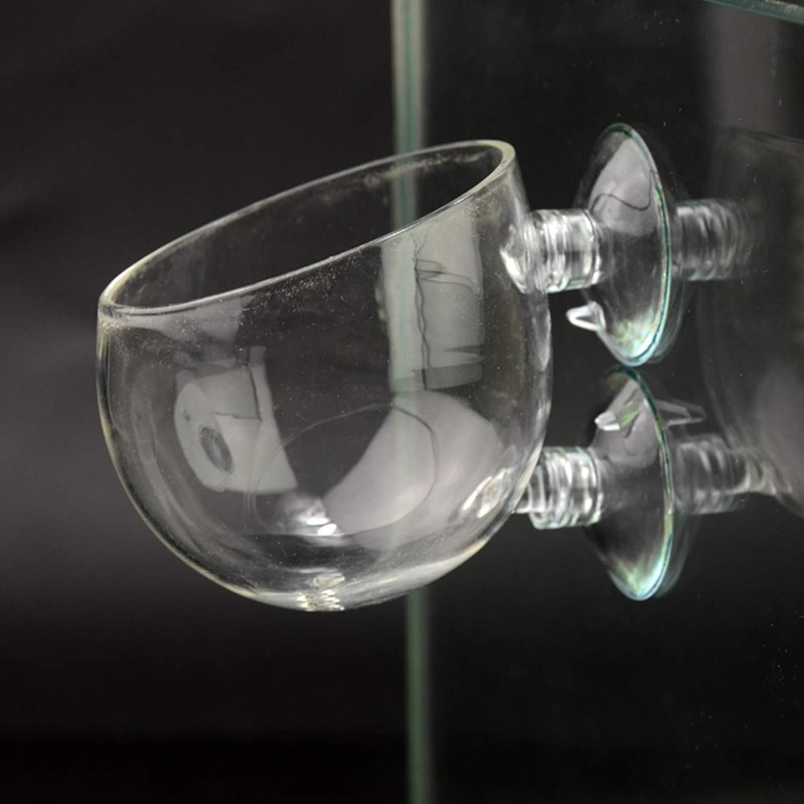 Aquarium Plant Holder Glass Aq - Terrarium Glass Bottle ulasan dan harga