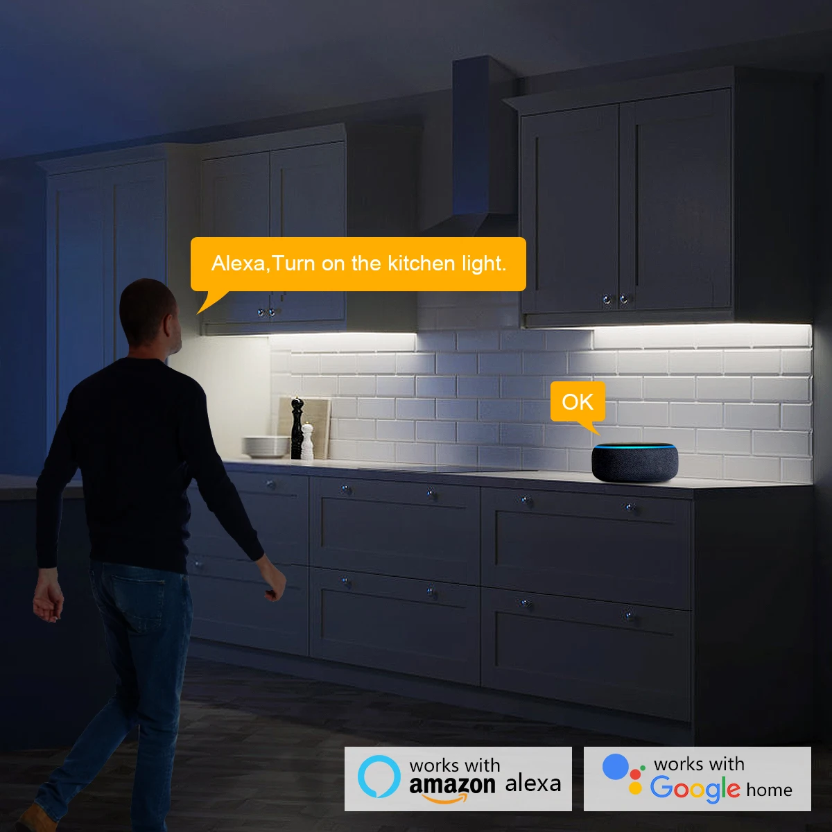 Smart Home Zigbee Tuya Voice C - Home Decor Free App ulasan dan harga