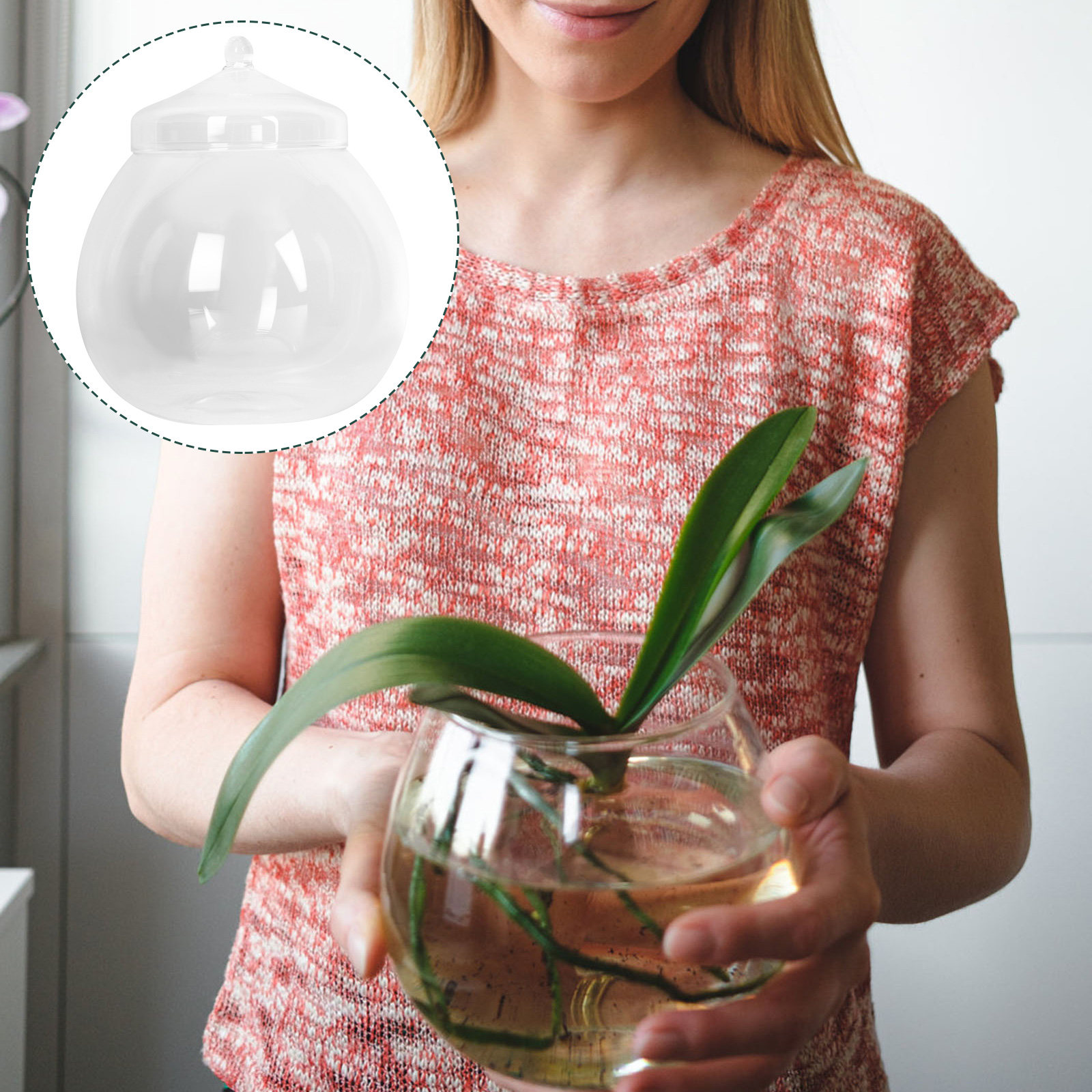 1Set Simple Glass Ecological B - Terrarium Glass Bottle ulasan dan harga
