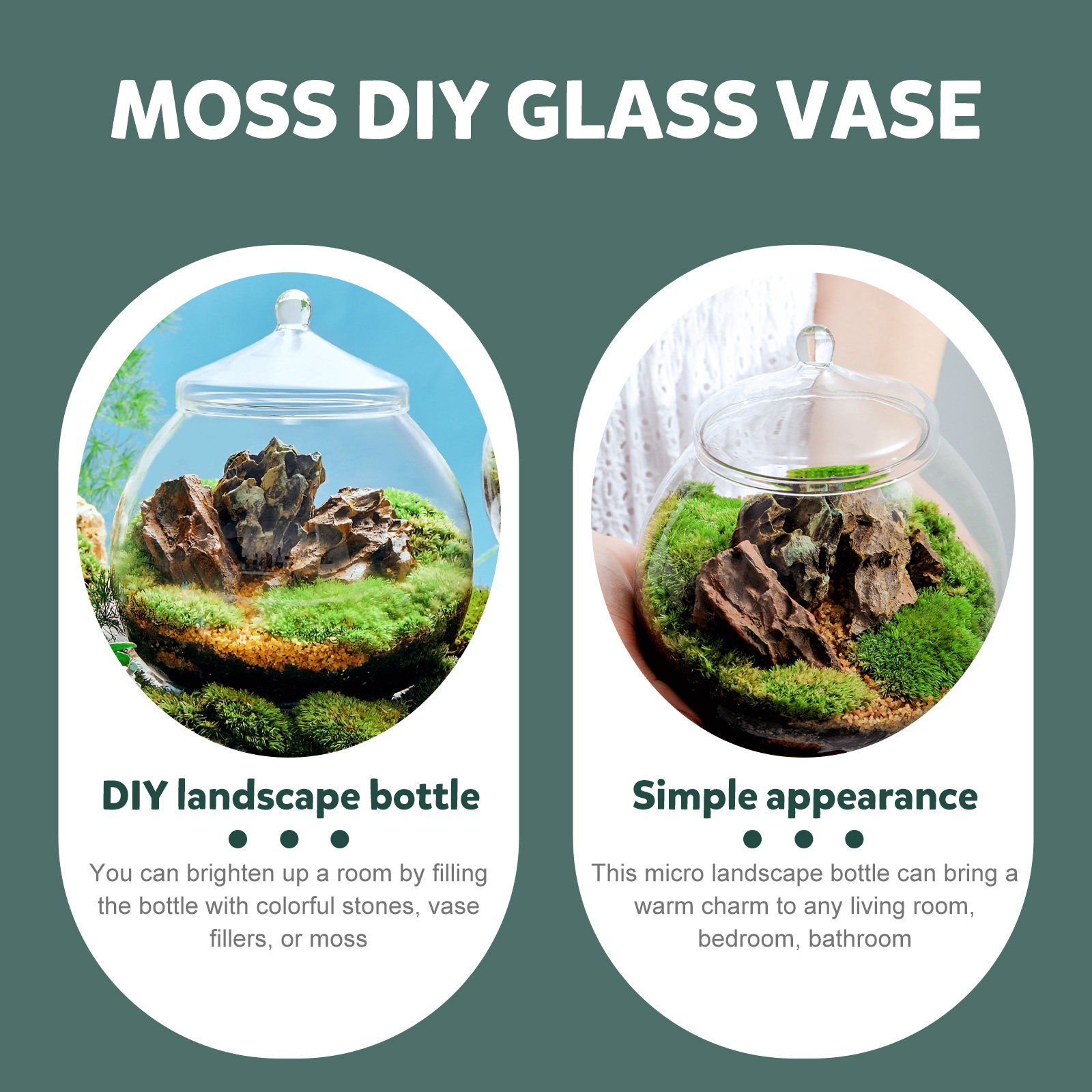1Set Simple Glass Ecological B - Terrarium Glass Bottle ulasan dan harga
