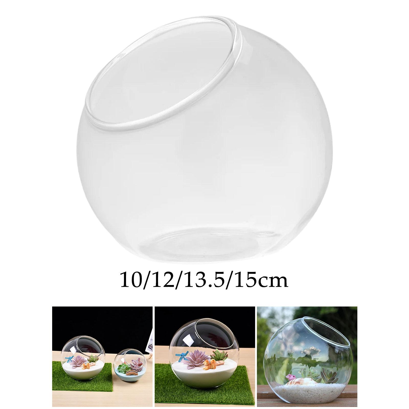 Terrarium Glass Vase Unique Ce - Terrarium Glass Bottle ulasan dan harga