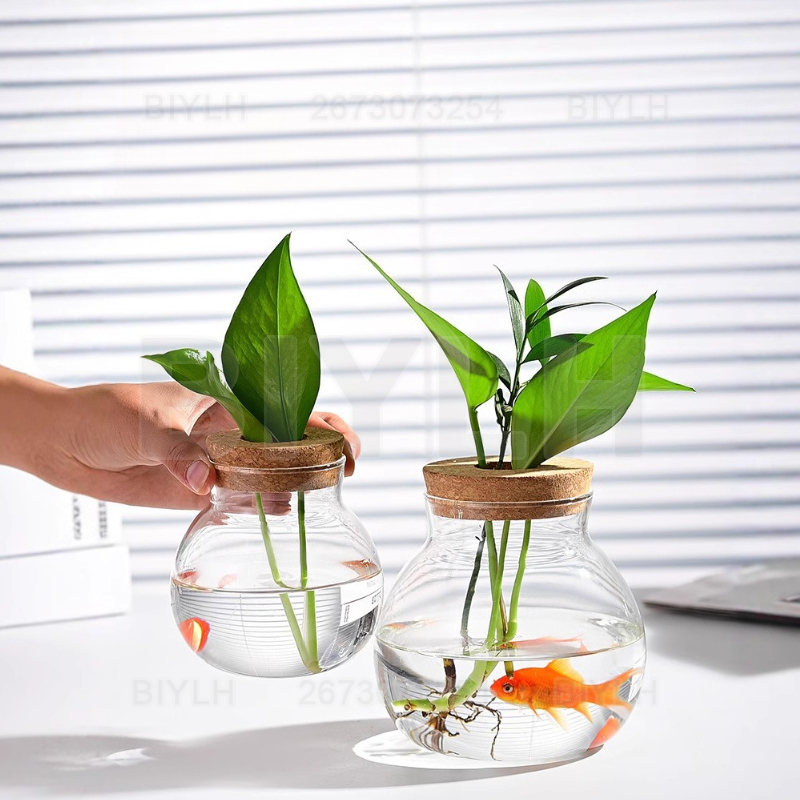 Hydroponic Plant Glass Vase Wi - Terrarium Glass Bottle ulasan dan harga