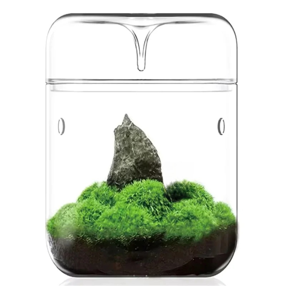 Desktop Glass Micro Landscape  - Terrarium Glass Bottle ulasan dan harga