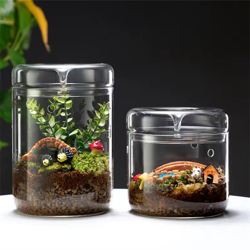 New！Micro Landscape Glass Bott - Terrarium Glass Bottle ulasan dan harga