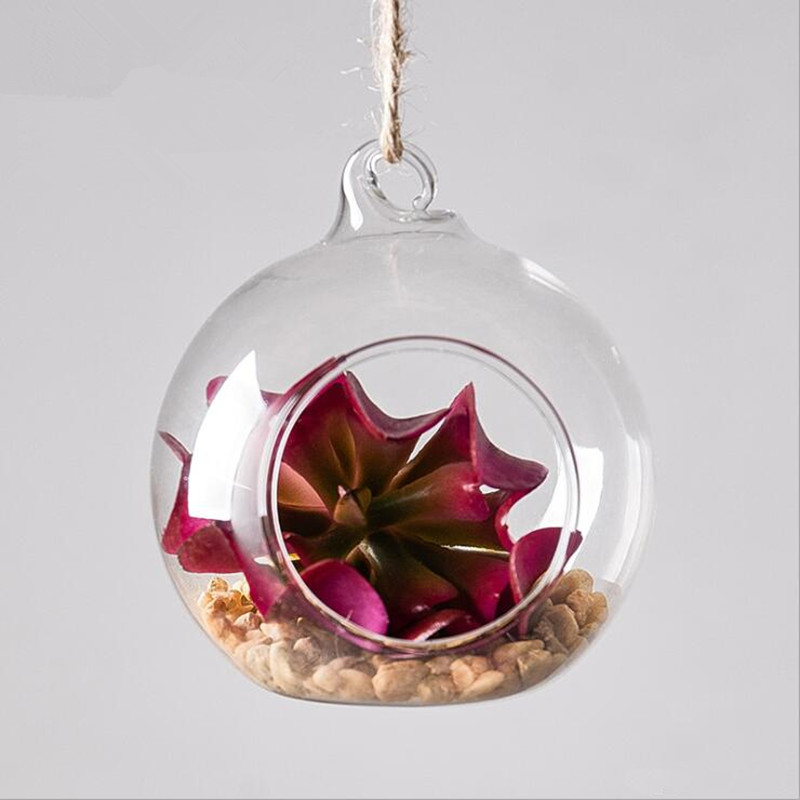 Diameter=10cm Middle Size Hang - Terrarium Glass Bottle ulasan dan harga